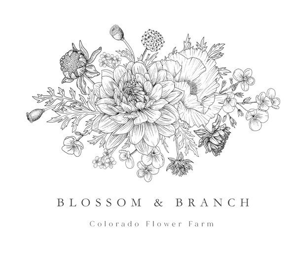 Bridal Bouquet - Blossom and Branch Farm