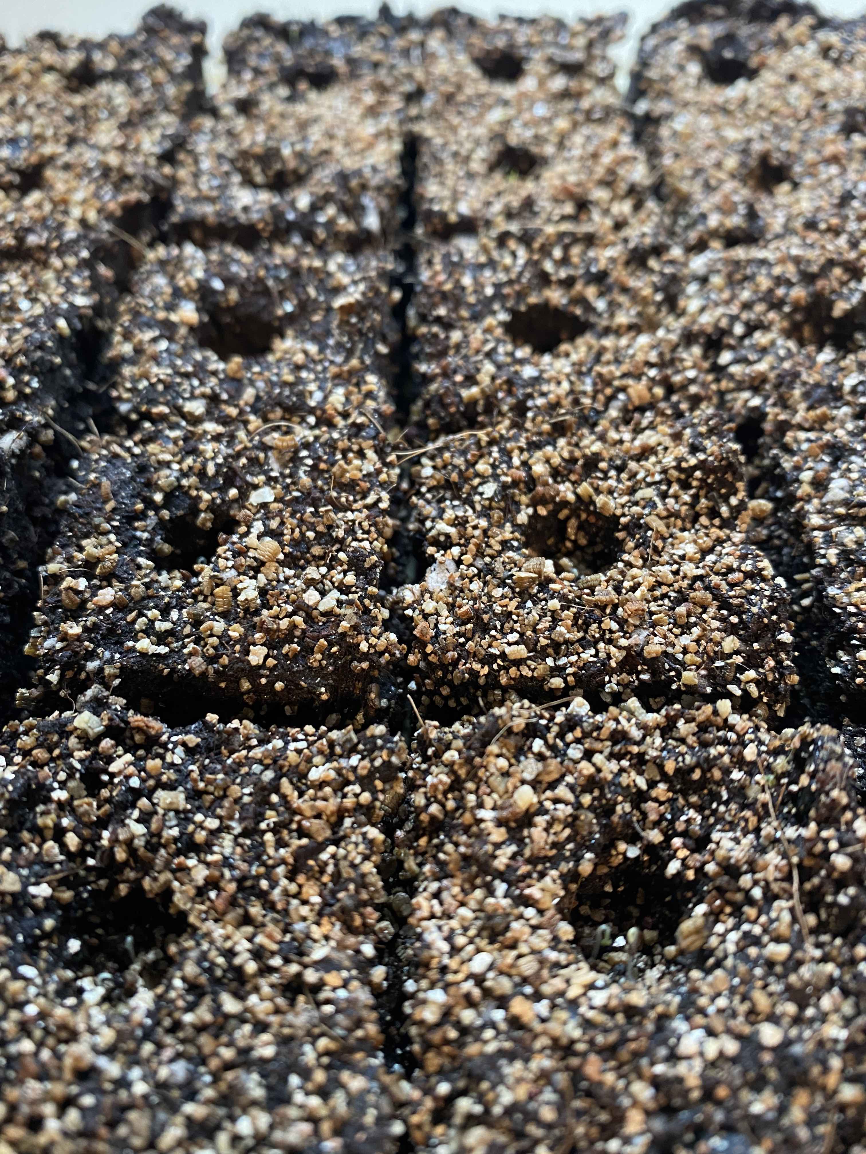 Peat Free Soil Blocking Recipes Blossom And Branch Farm Peat Free Soil Blocking Recipes Blossom And Branch Farm