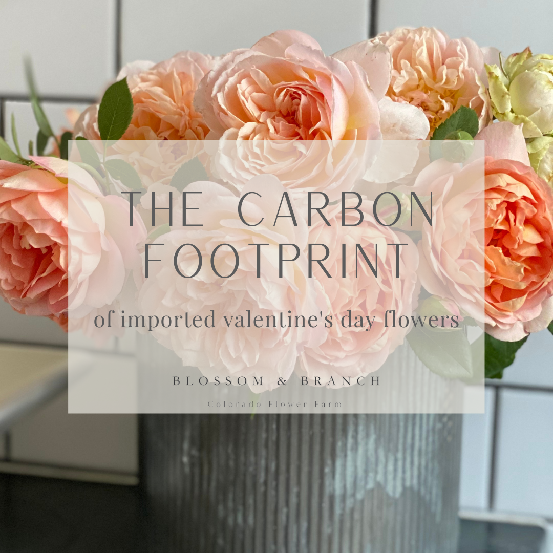 carbon footprint of imported valentine's day flowers