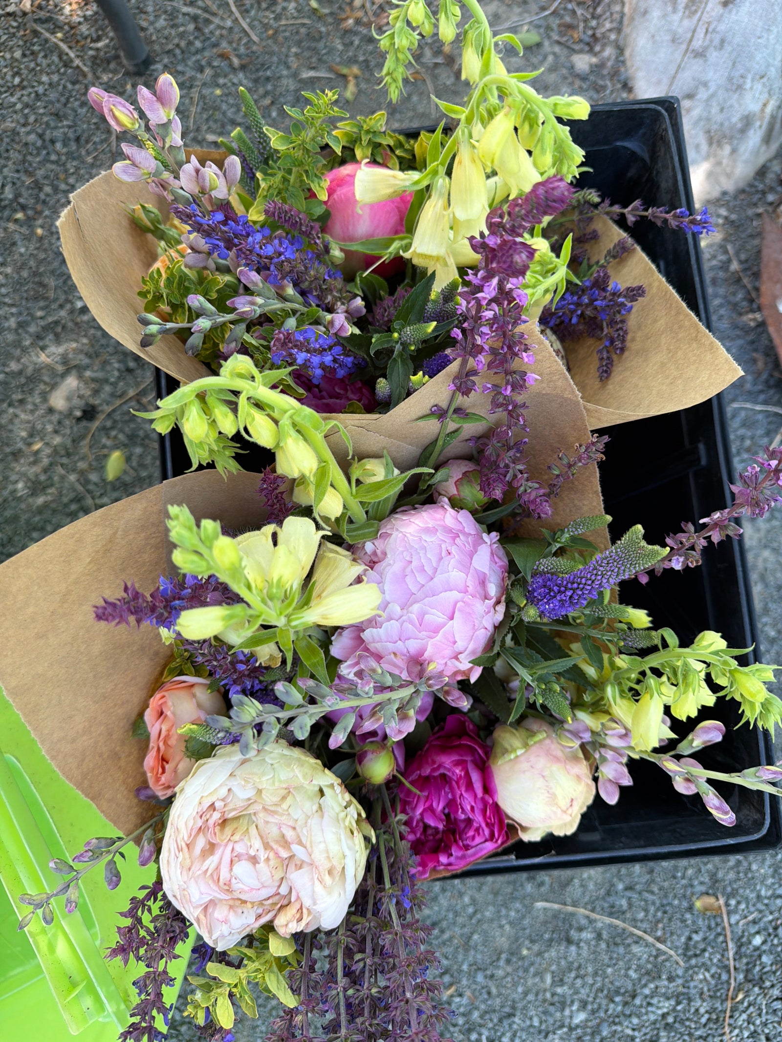 Peony bouquet (farm pickup)