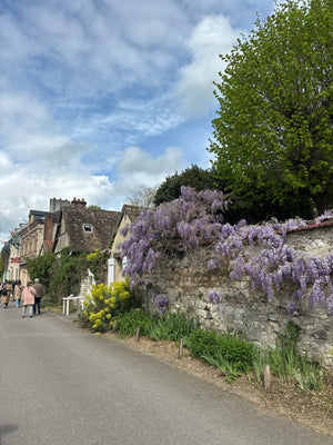 Paris in Bloom: A Garden Lovers’ Getaway with Blossom and Branch Farm
