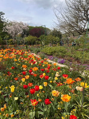 Paris in Bloom: A Garden Lovers’ Getaway with Blossom and Branch Farm