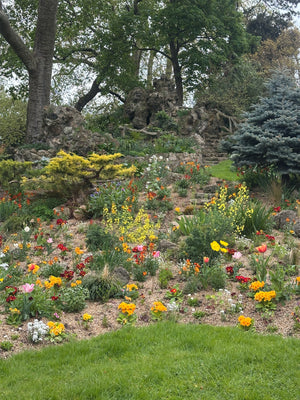 Paris in Bloom: A Garden Lovers’ Getaway with Blossom and Branch Farm