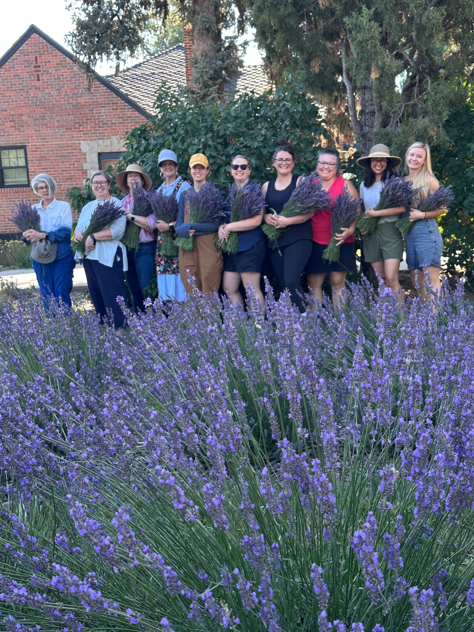 You-Pick Lavender JULY 25