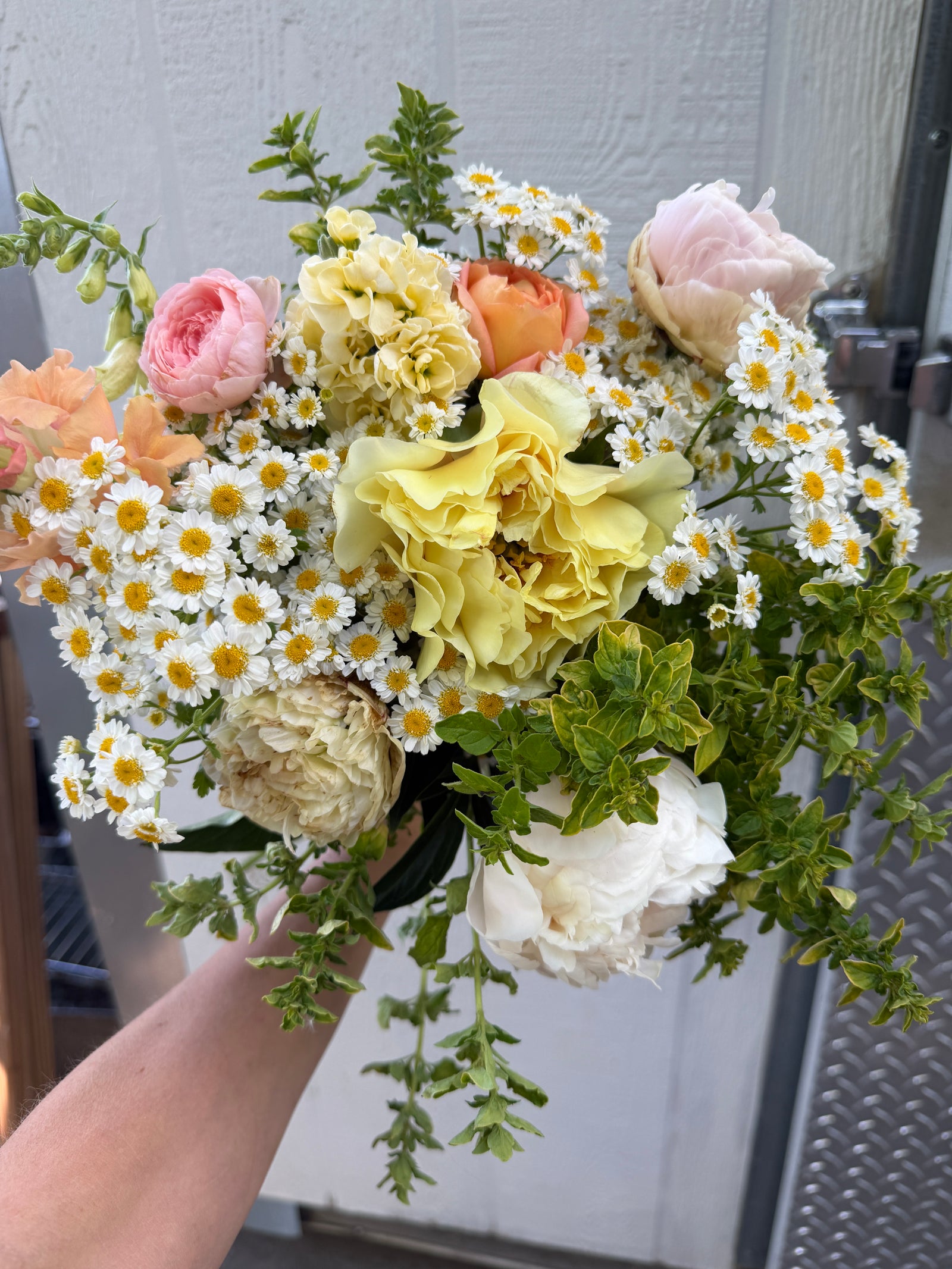 6/20 PEONY BOUQUETS (LAST CHANCE!)