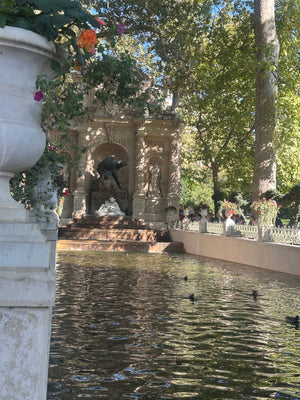 Paris in Bloom: A Garden Lovers’ Getaway with Blossom and Branch Farm