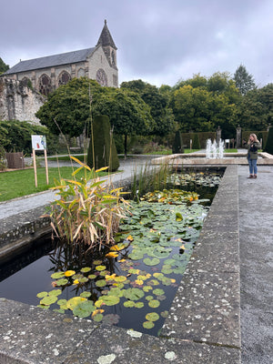 Paris in Bloom: A Garden Lovers’ Getaway with Blossom and Branch Farm