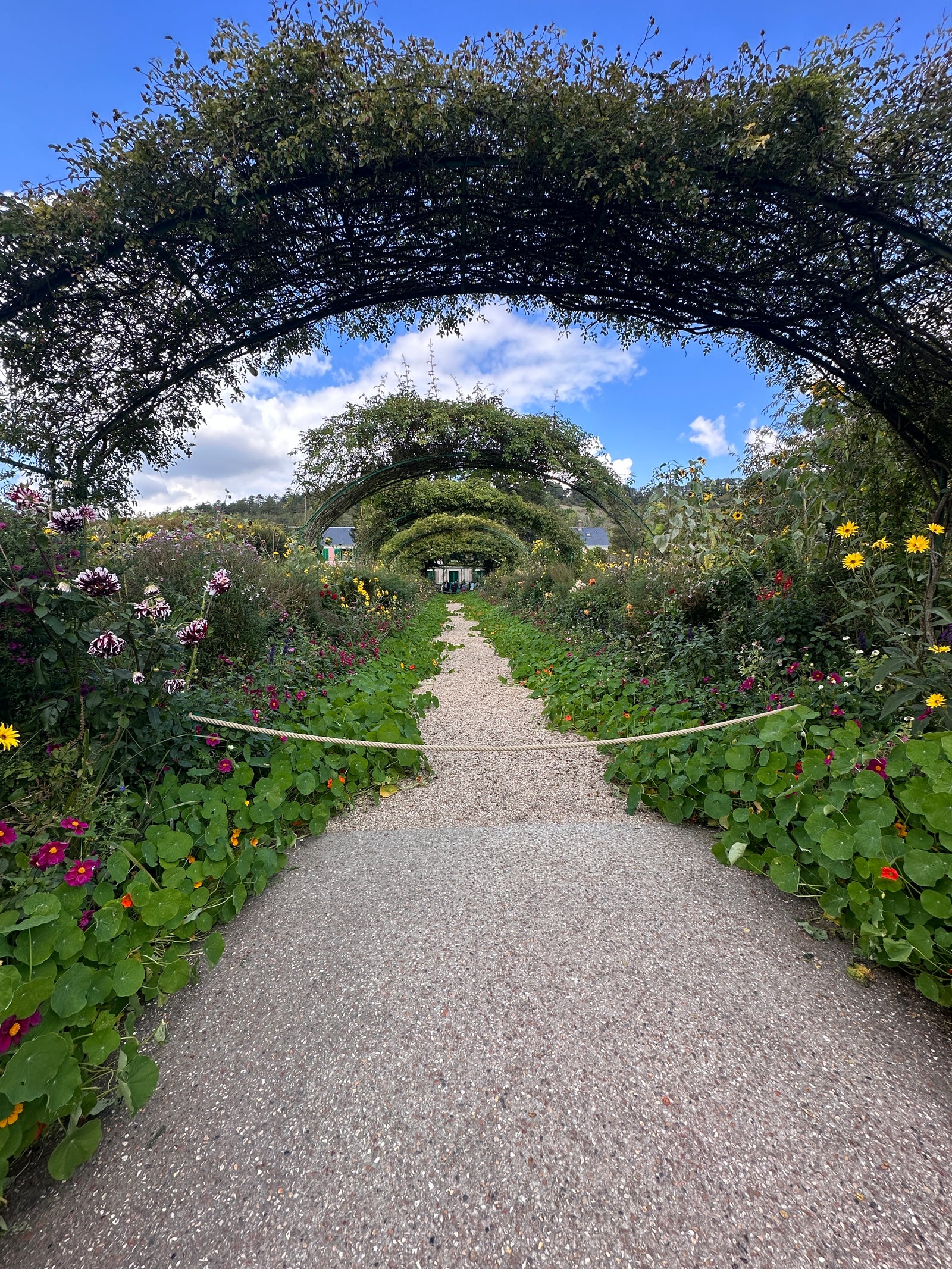 Paris in Bloom: A Garden Lovers’ Getaway with Blossom and Branch Farm