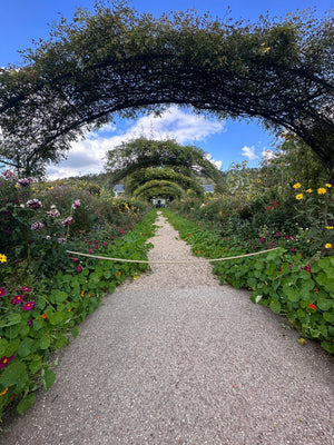 Paris in Bloom: A Garden Lovers’ Getaway with Blossom and Branch Farm
