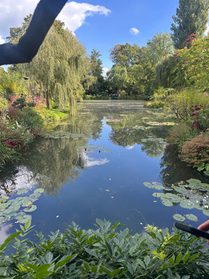 Paris in Bloom: A Garden Lovers’ Getaway with Blossom and Branch Farm