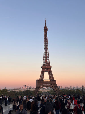 Paris in Bloom: A Garden Lovers’ Getaway with Blossom and Branch Farm