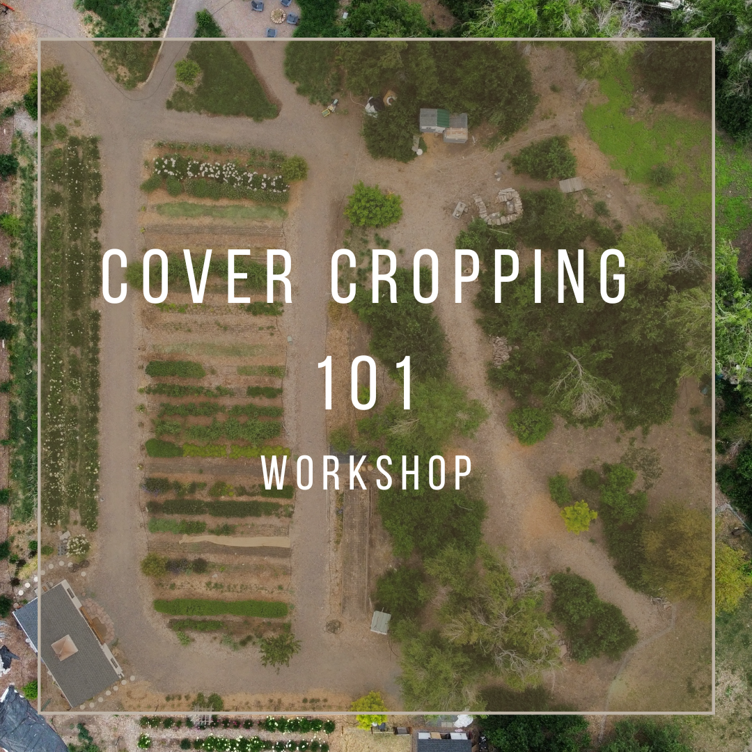 Cover Crop Workshop