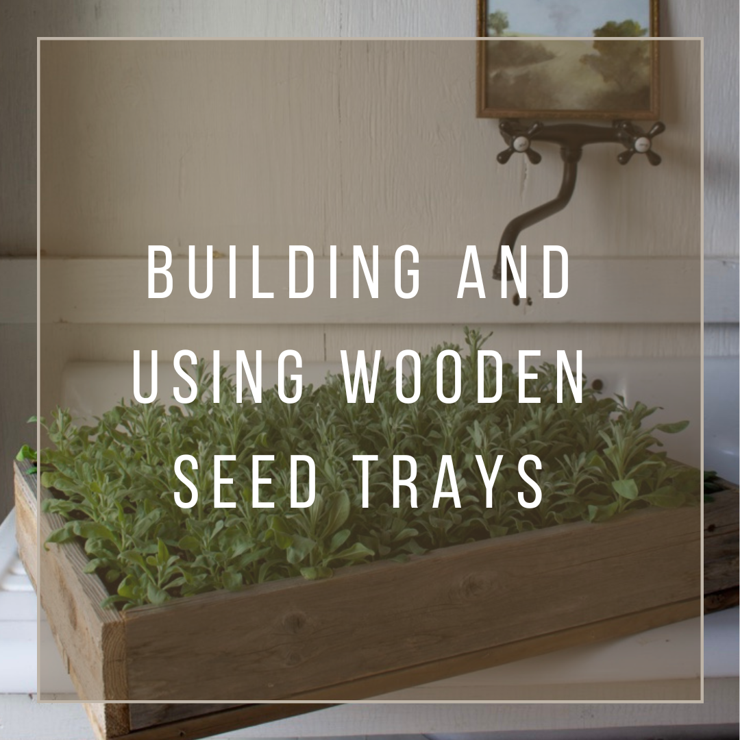 Crafting Eco-Friendly Wood Seed Trays: Build, Plant, Grow!