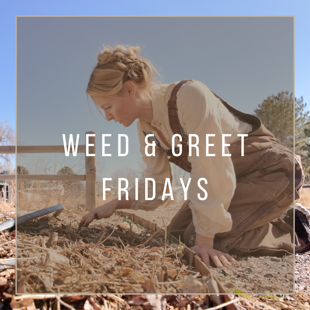 Weed & Greet Fridays: A Social Gardening Experience