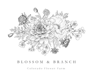 logo of Colorado farmer florist selling sustainably grown flowers