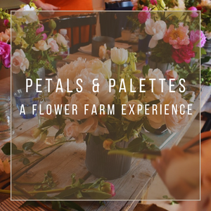 Petals and Palettes: A Flower Farm Experience