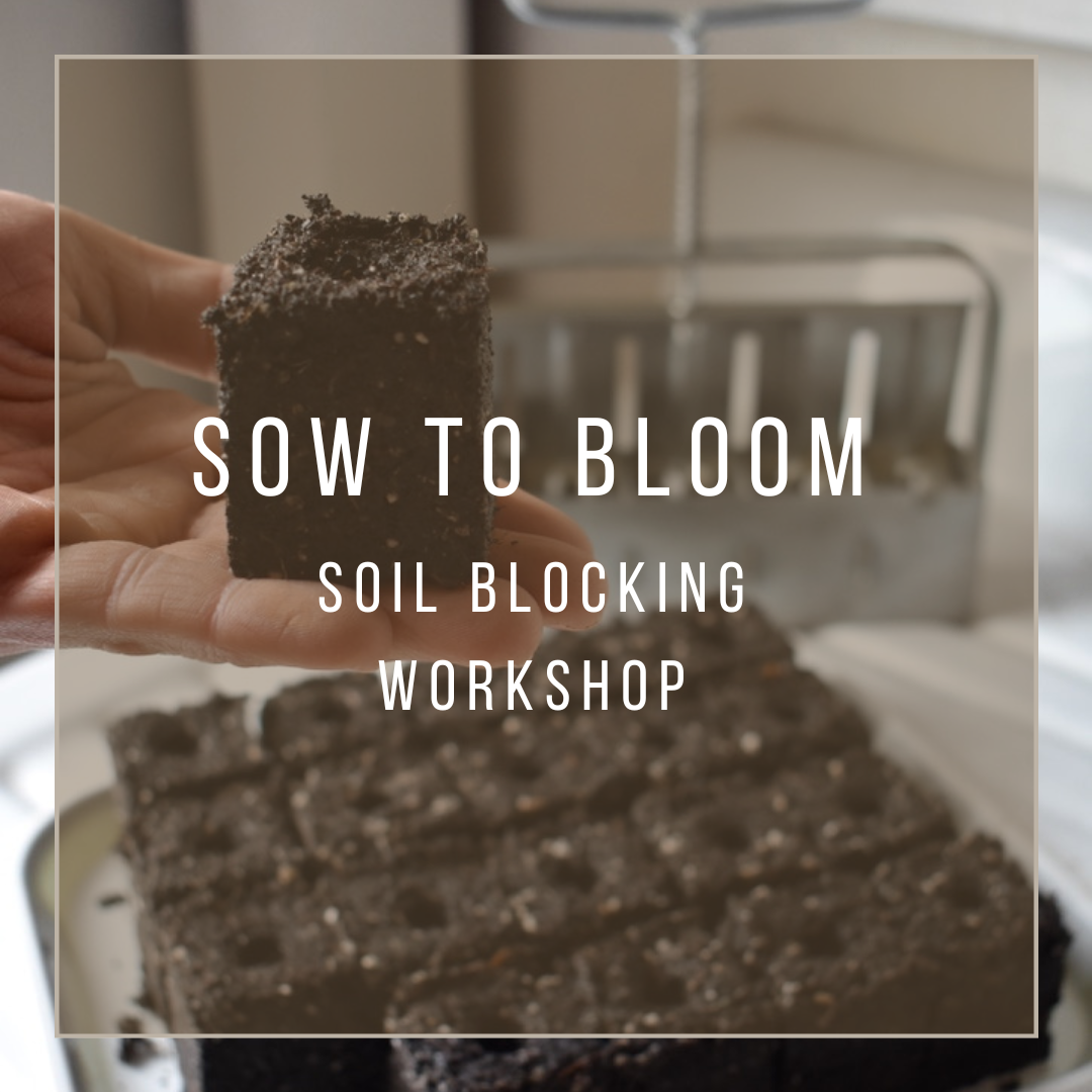 Sow to Bloom: Soil Blocking Workshop